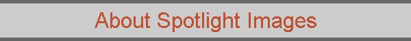 About Spotlight Images