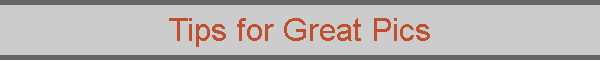Tips for Great Pics